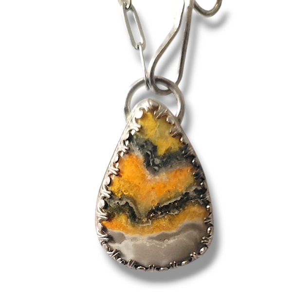 Bumble Bee Jasper