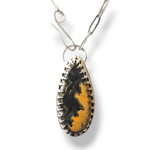 Bumble Bee Jasper