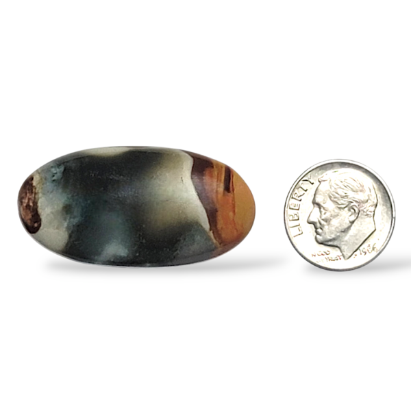 Polygram Jasper